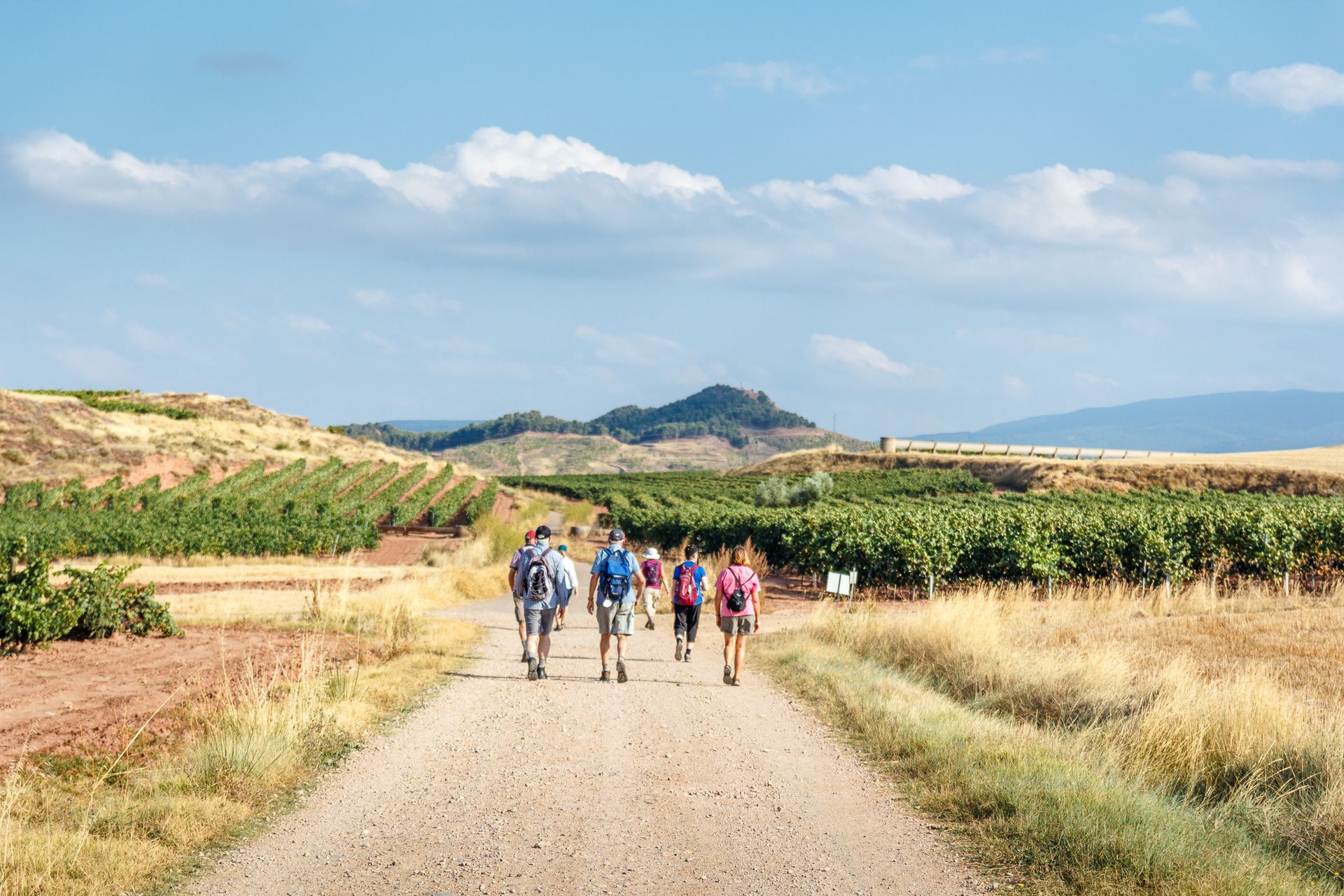 a group of pilgrims walking the camino de santiago along wheat fields and vinyards in la rioja region,  spain.jpg